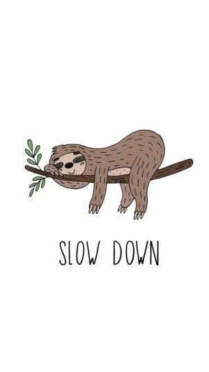 Slow Down