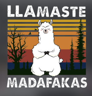 Llamaste Madafakas