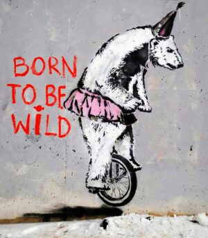 Born To Be Wild